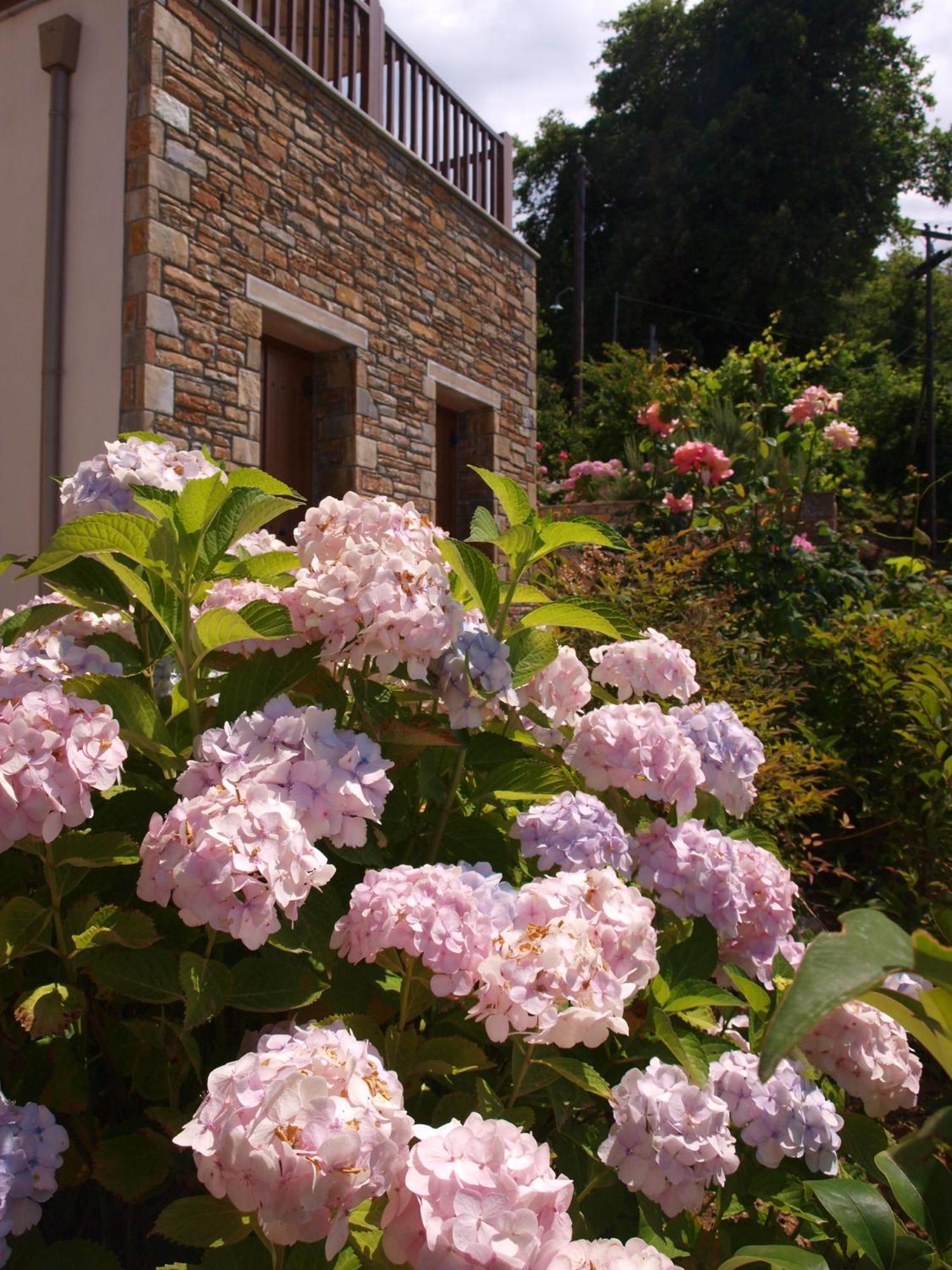 Lions Nine Aparthotel Mouresi Exterior photo